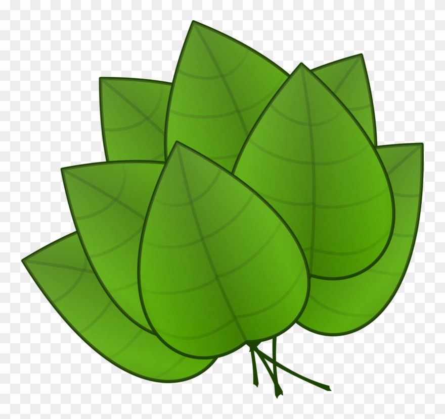 Pile Of Fall Leaves Clipart Free Clipart Images - Parts Of Plants Leaves - Png Download