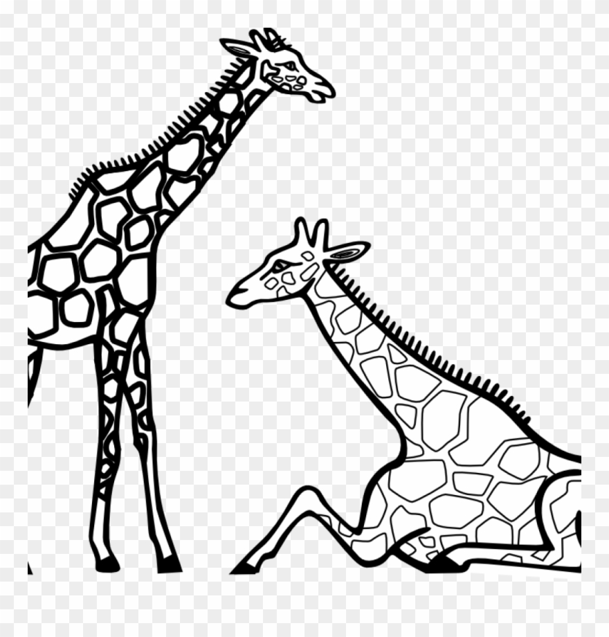 Gallery Of Reduced Black And White Unicorn Pictures - Giraffe S Coloring Pages Clipart