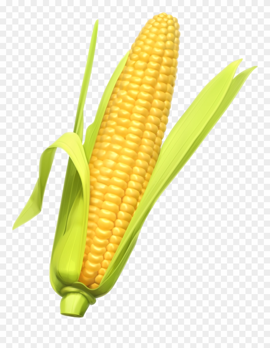 Corn Clipart Clip Art - Corn Clipart Png Transparent Png