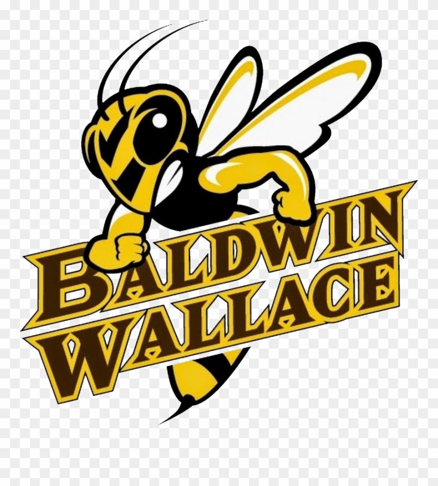Ten Student Athletes Select Bw To Continue Wrestling - Baldwin Wallace Yellow Jackets Clipart
