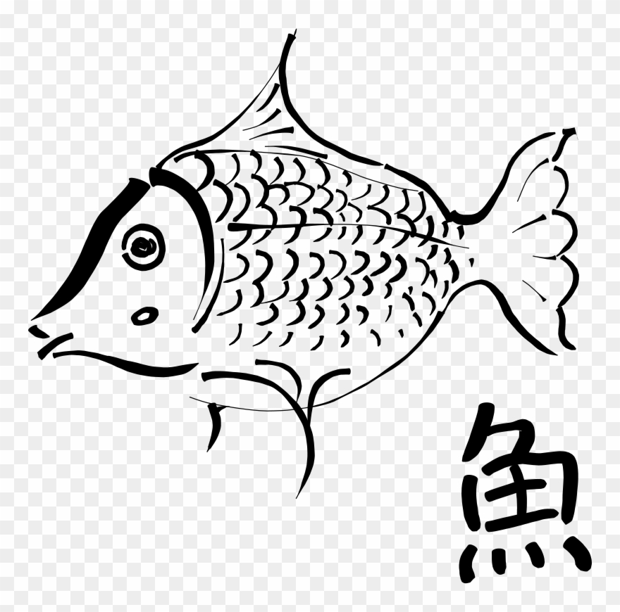 Download Outline Of A Fish Clipart Drawing Clip Art - Outline Of A Fish - Png Download