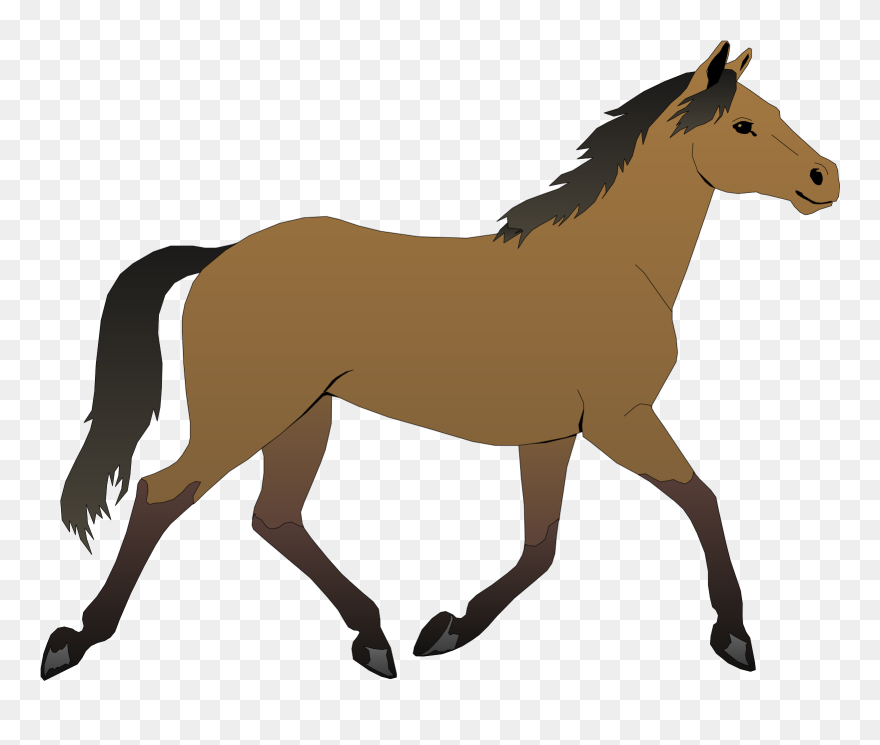 Horse Free Vector - Horse Clipart - Png Download