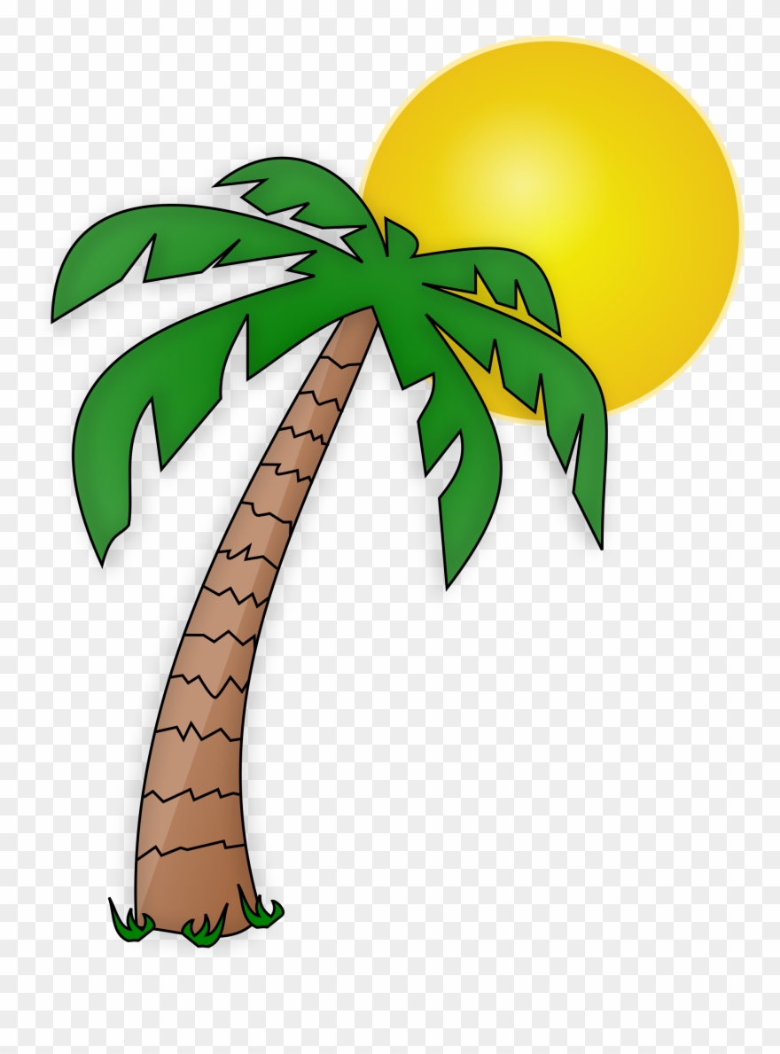 See Here New 2018 Free Pictures Download Palm Tree - Transparent Background Palm Tree Clipart - Png Download