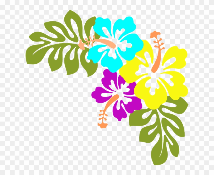 Luau Clipart Flower Free Hawaiian Collection Hibiscus - Hawaiian Flowers Transparent Background - Png Download