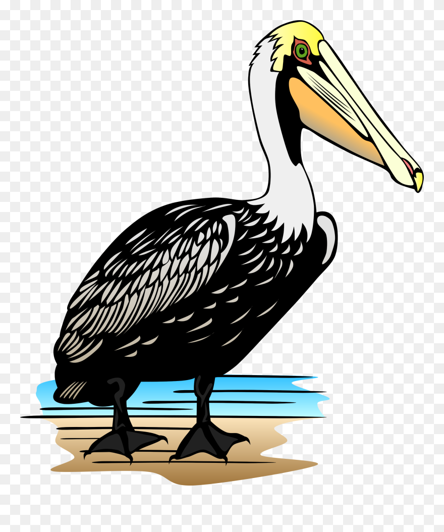 Free To Use Public Domain Animals Clip Art - Pelican Clip Art - Png Download