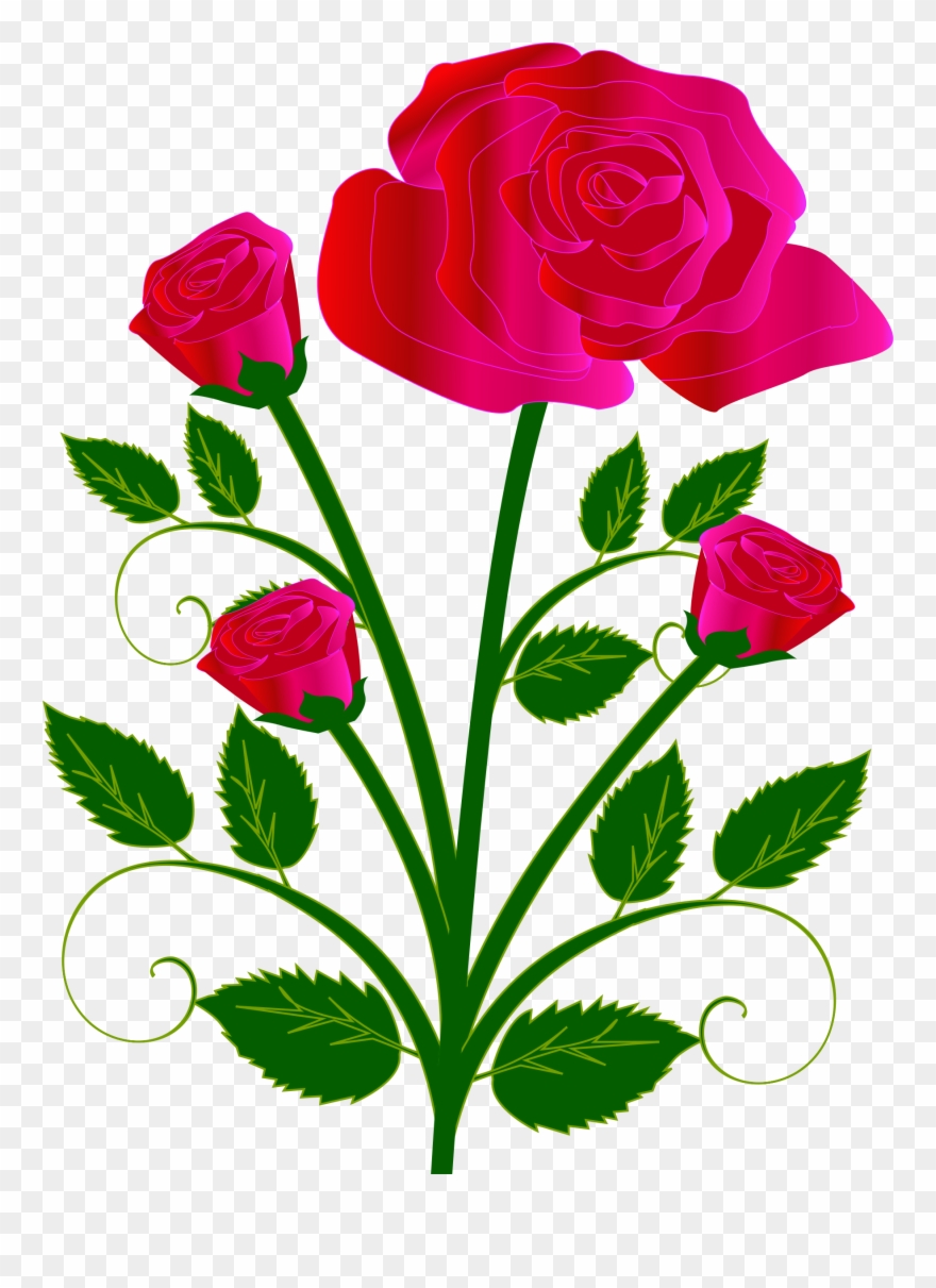 Free To Use Public Domain Rose Clip Art - Rose Drawings With Color - Png Download
