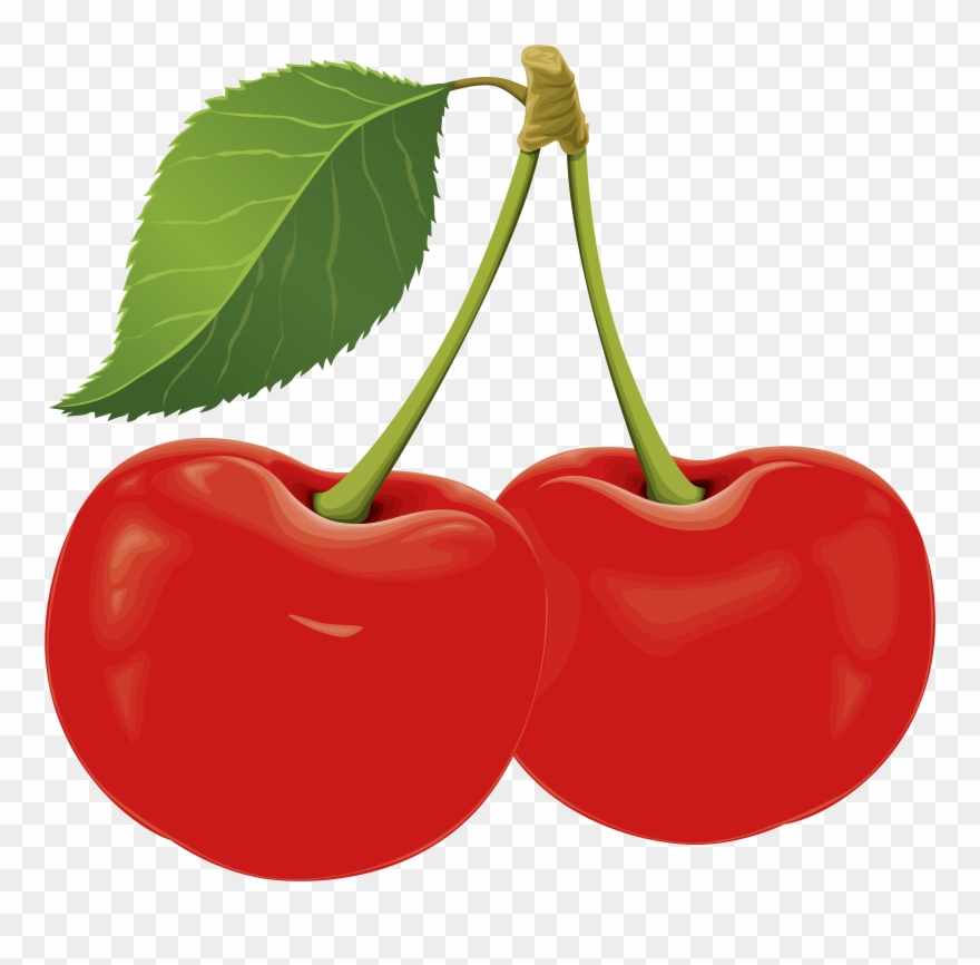 Sour Cherry Png Clip Art 1544 Cherries Transparent Png