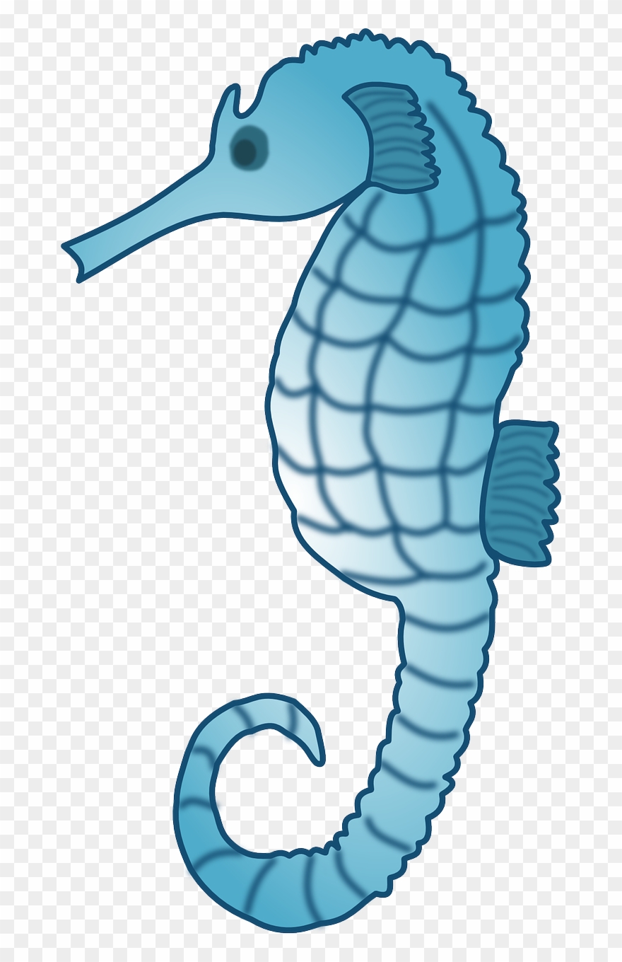 Free To Use Amp Public Domain Sea Horse Clip Art - Blue Seahorse Shower Curtain - Png Download