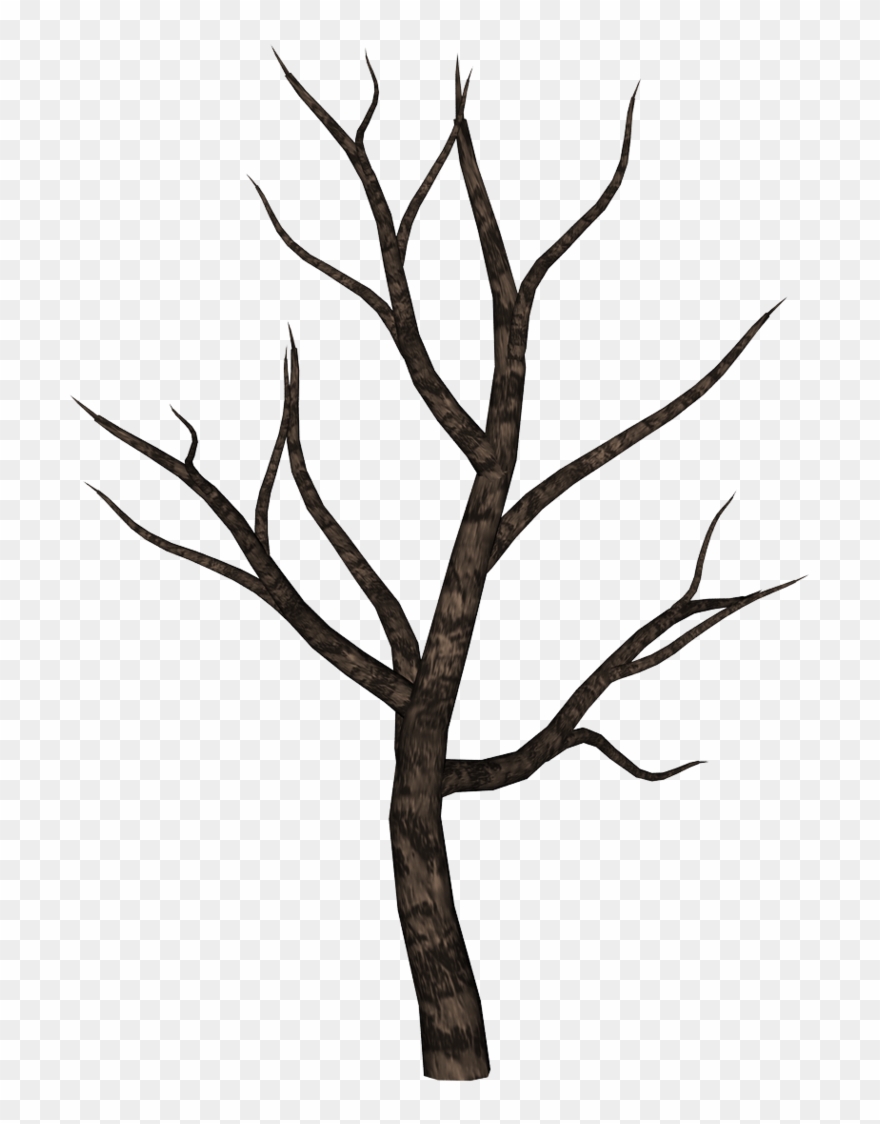 Spooky By Ecathe Art Inspirations - Spooky Tree Clipart - Png Download