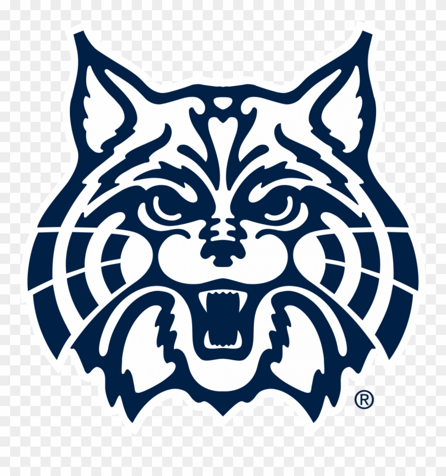 Wildcat Face Cliparts - University Of Arizona Wildcat - Png Download
