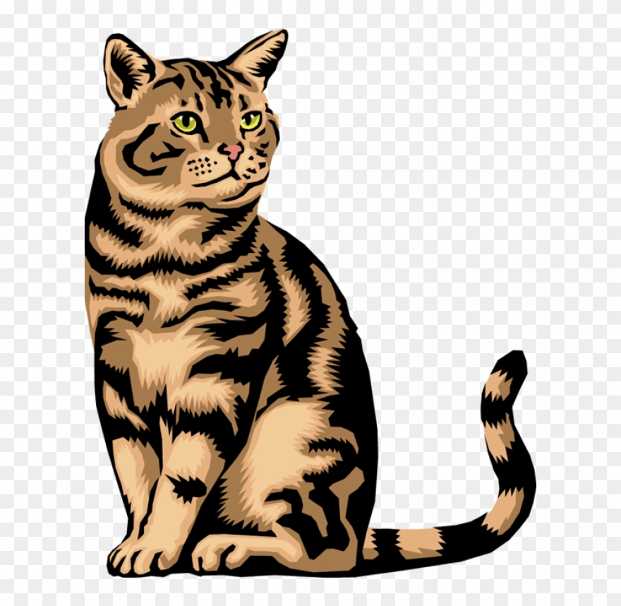 Cat Clip Art Download Free Vergilis Clipart - Animals Do Not Lay Eggs - Png Download