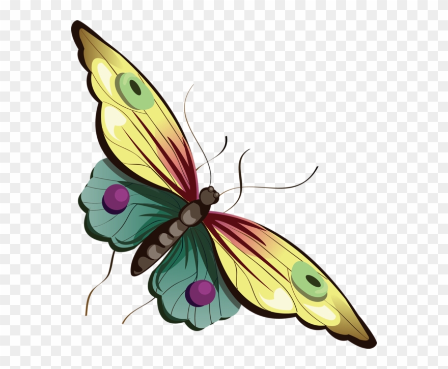 Cartoon Butterfly Clipart - Happy Friday Feeling Blessed - Png Download