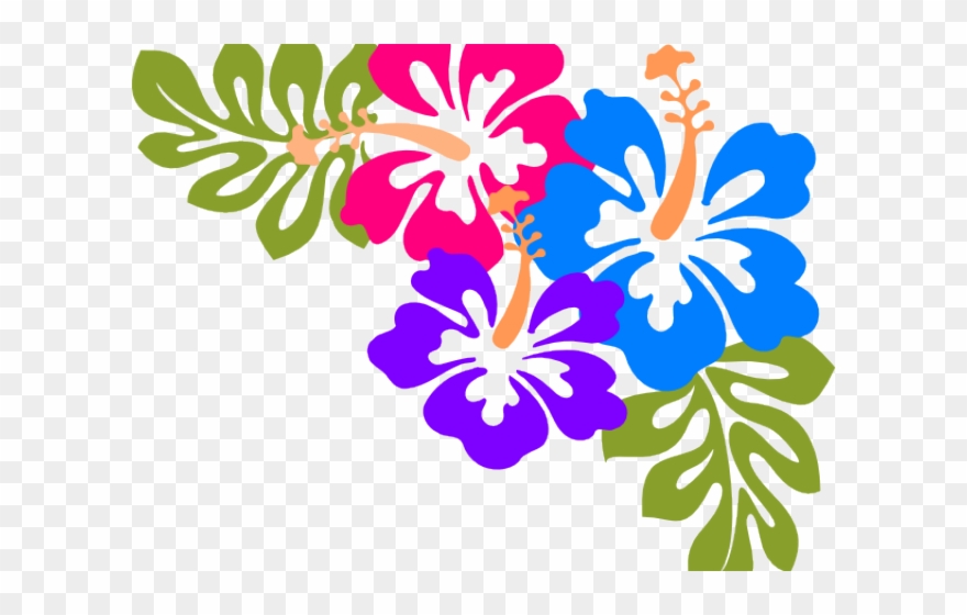 Cliparts Free Download Clip Art Carwad Net - Hibiscus Clip Art - Png Download