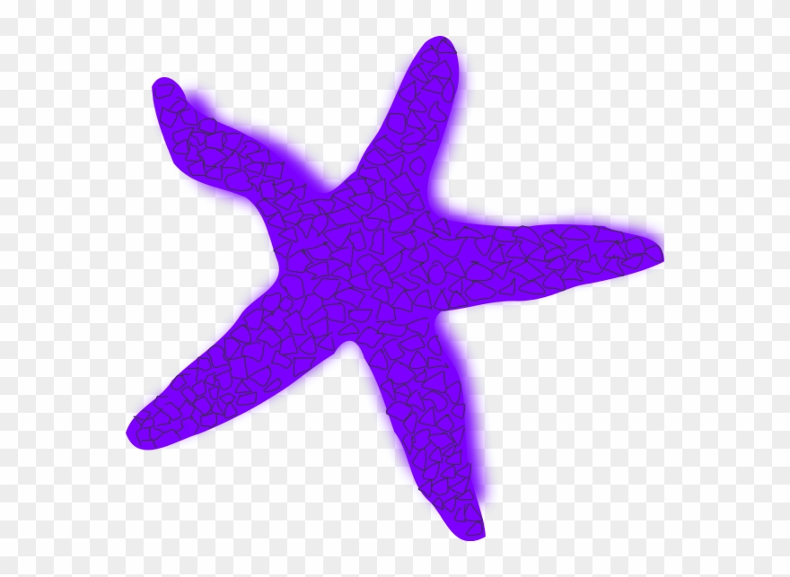 Free Clip Art Starfish Clipart - Starfish Clip Art - Png Download