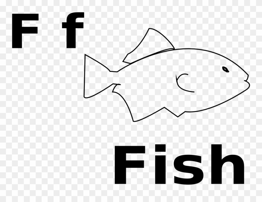 Net » Fish - Clip Art - Png Download