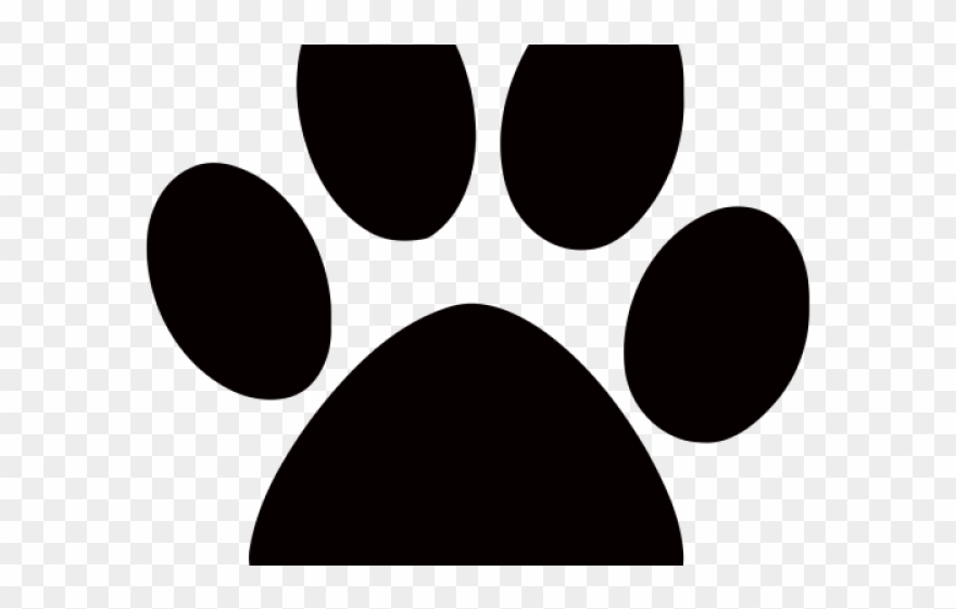 Cougar Clipart Print - Humane Society Of Tampa Bay - Png Download