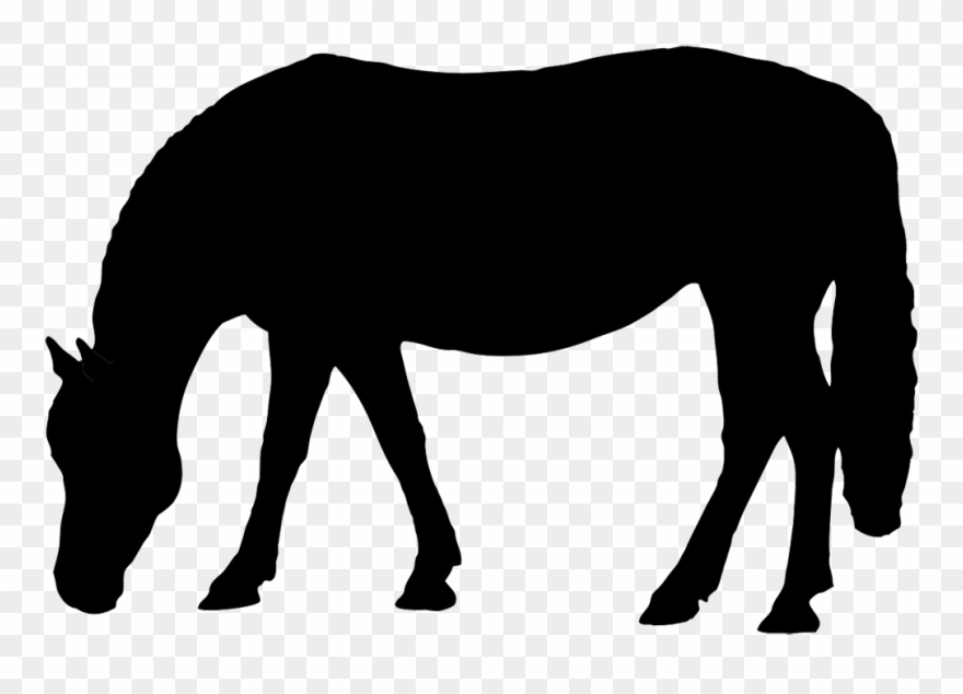 Silhouette - Horse Eating Silhouette Clip Art - Png Download