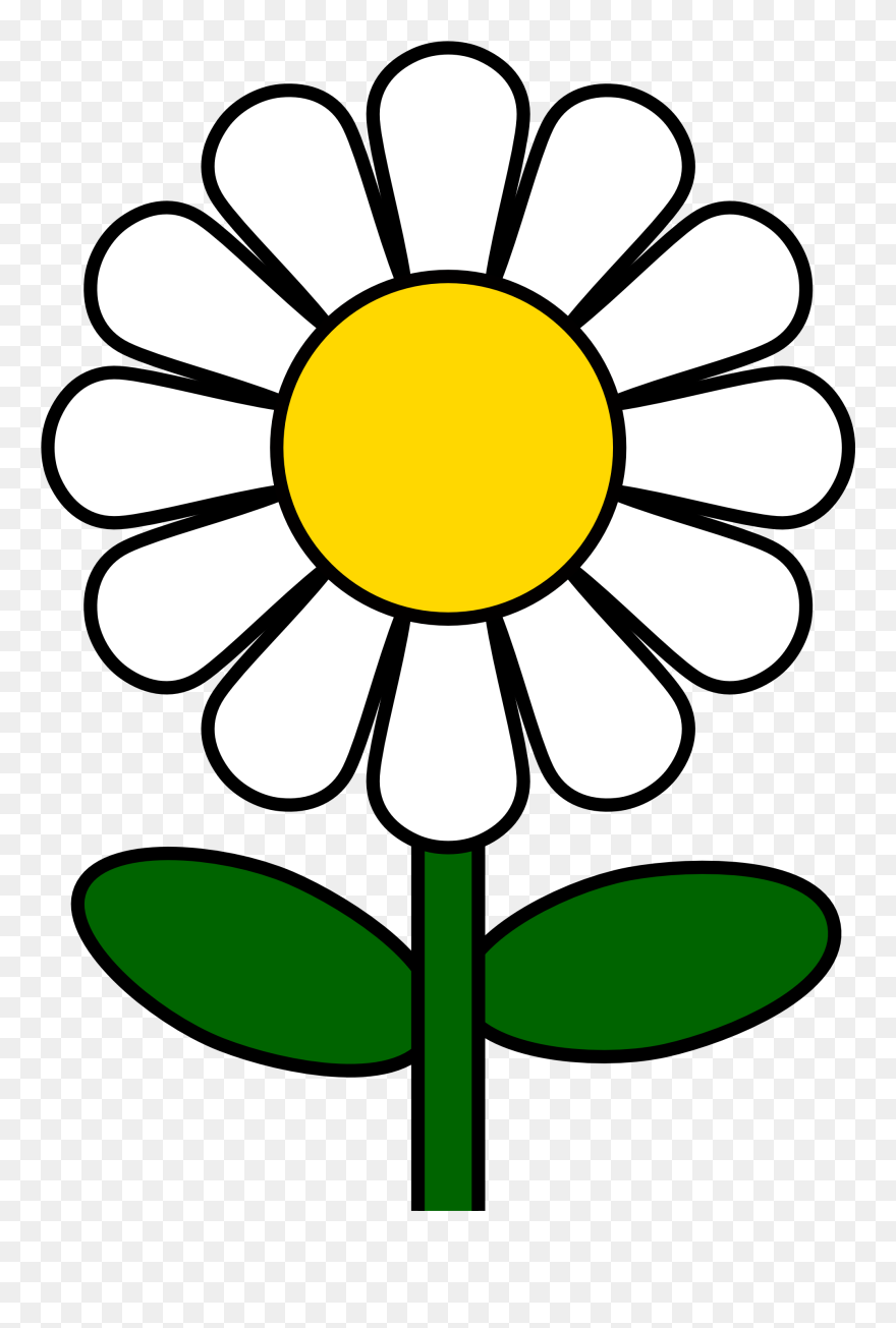 Top 77 Daisy Flower Clip Art Best Clipart Blog Bestclipartblog - Daisy Clip Art - Png Download