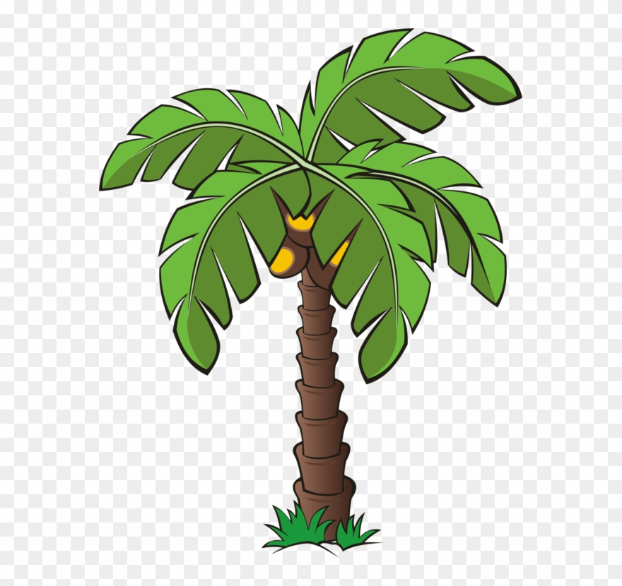 All Photo Png Clipart - Date Palm Tree Cartoon Transparent Png