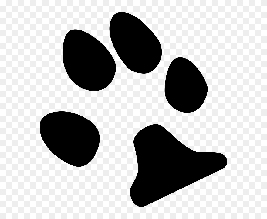 Cat Paw Print Clip Art Free - اثار اقدام كرتون حيوانات - Png Download