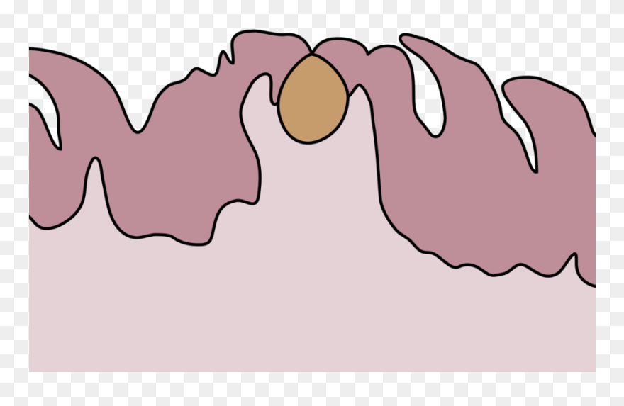 Cartoon Clipart Tooth Clip Art - Png Download