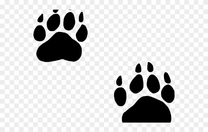 Footprints Clipart Cougar - Black Bear Paw Png Transparent Png