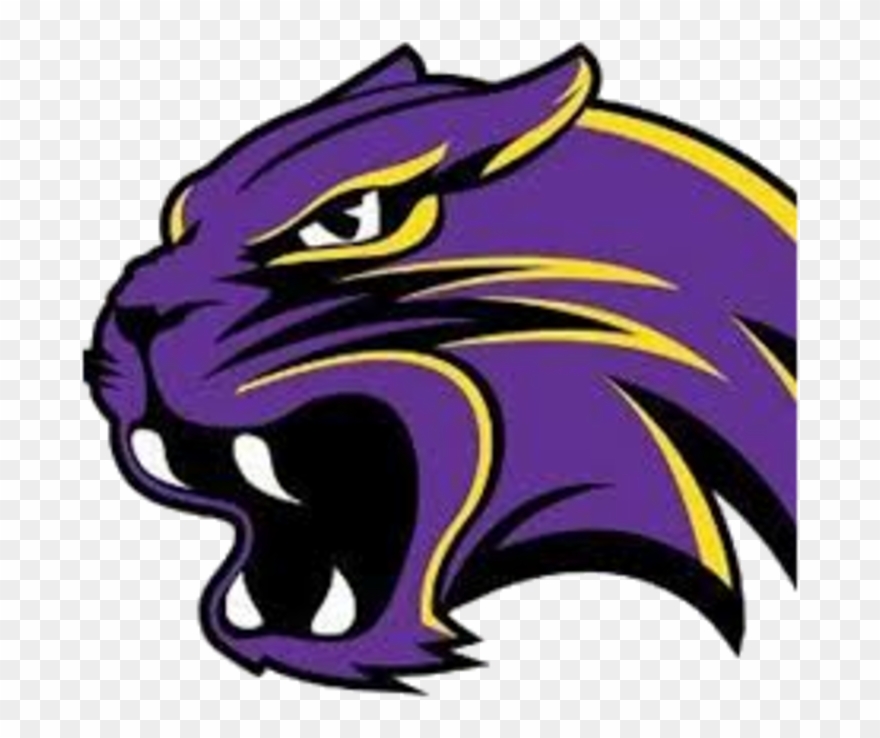 Purple Clipart Wildcat - Waconia Wildcats Football Logo - Png Download