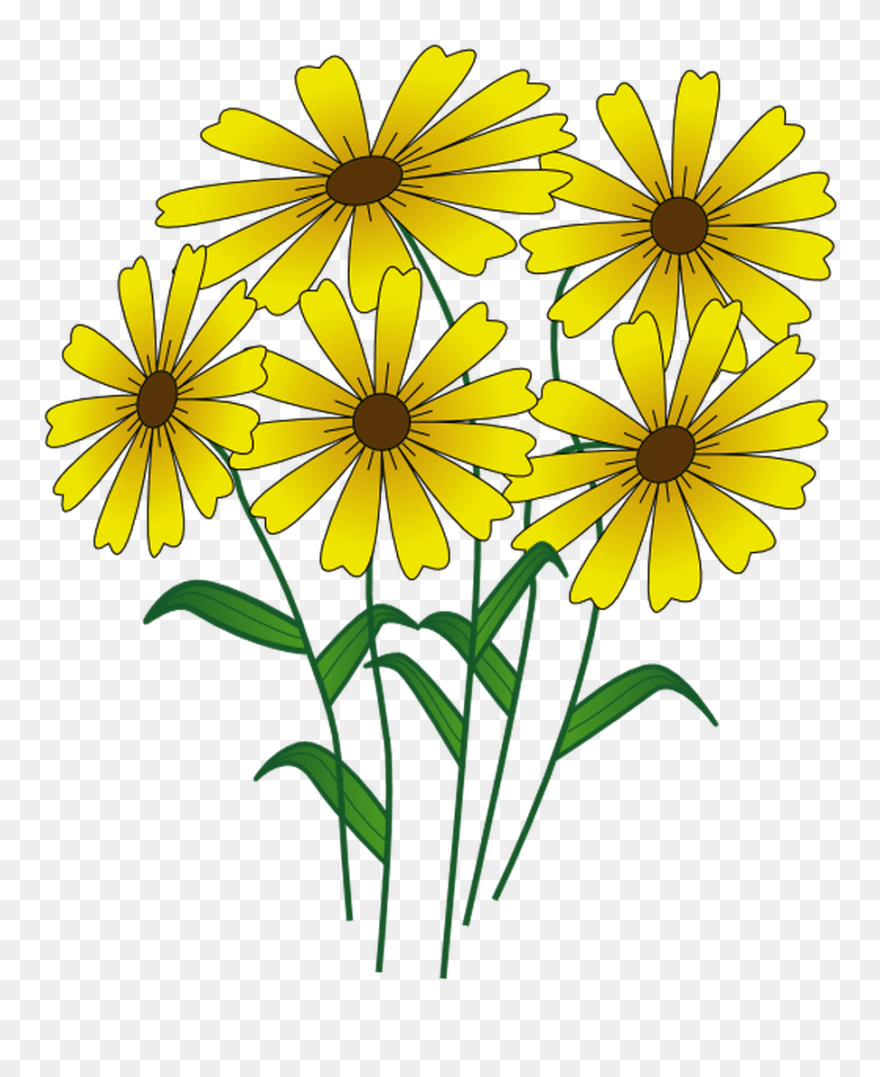 9 Places To Find Free Summer Clip Art - August Flowers Clip Art - Png Download