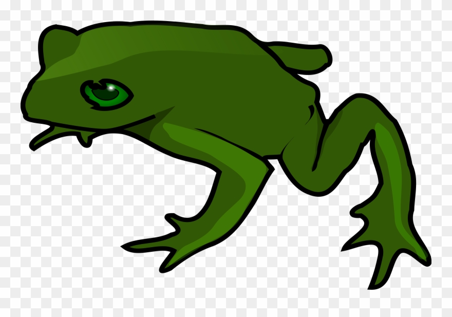 Free Simple Green Frog Clip Art Public Domain Images - Cartoon Frog No Background - Png Download