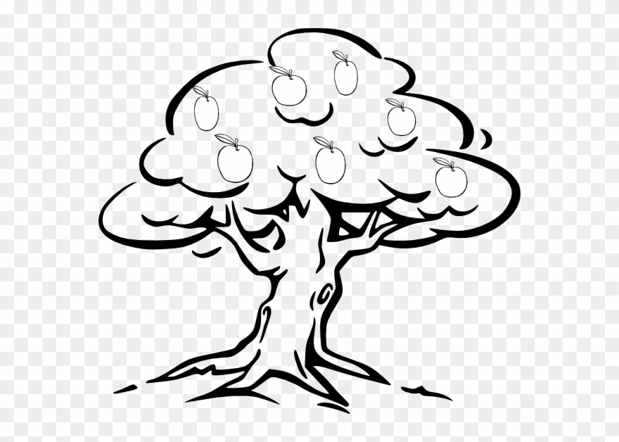 Apple Tree Clip Art - Black And White Apple Tree Drawing - Png Download