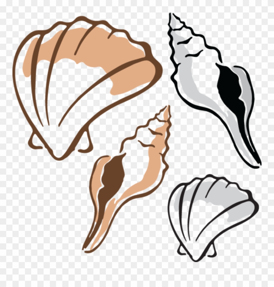 Clam Clipart - Clipart Shells - Png Download