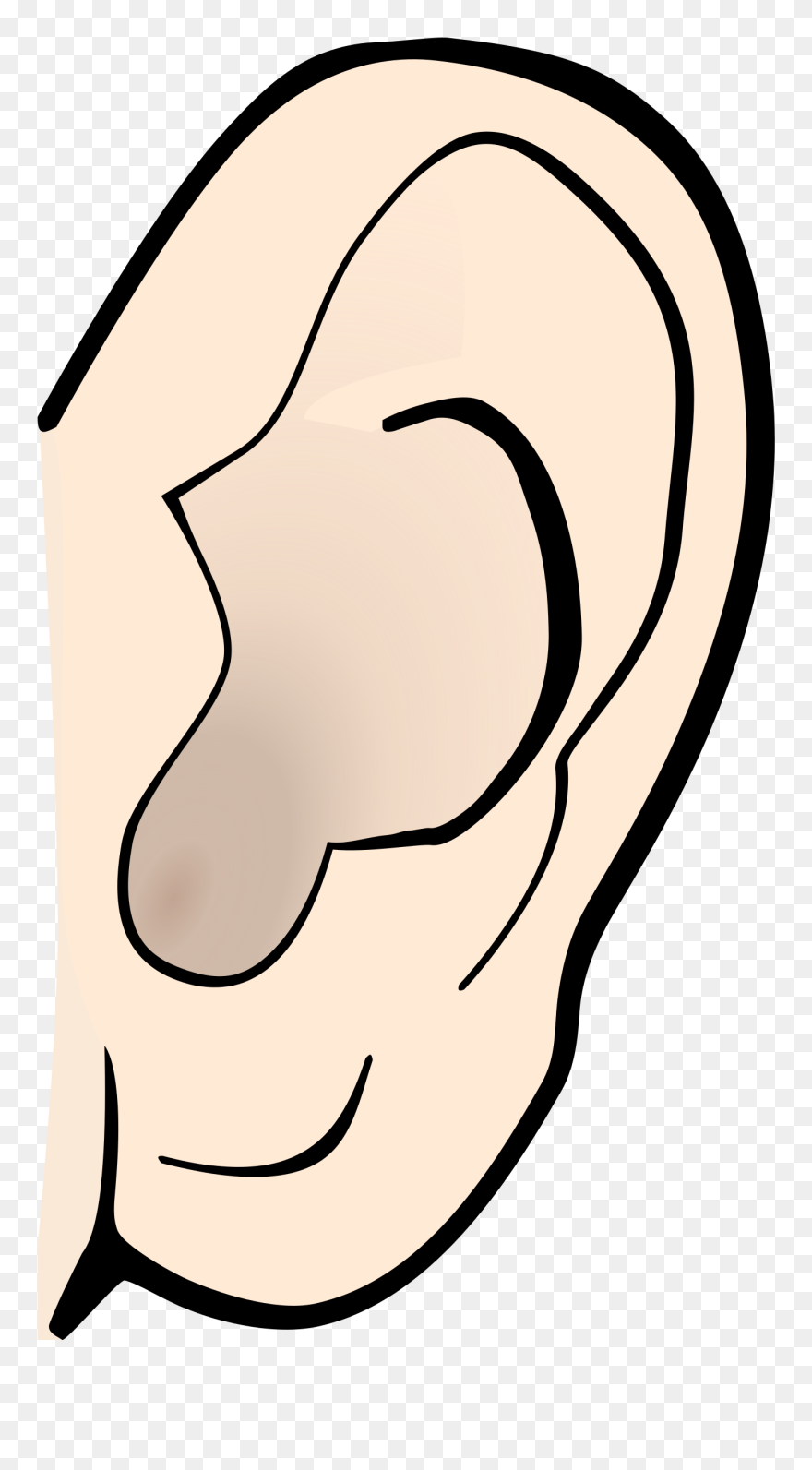 Listening Ear Clipart - Clip Art Ear - Png Download