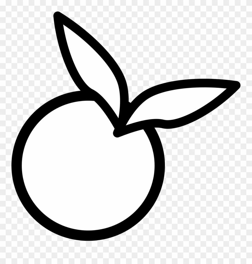 Clipart Info - Orange Vector Black And White - Png Download