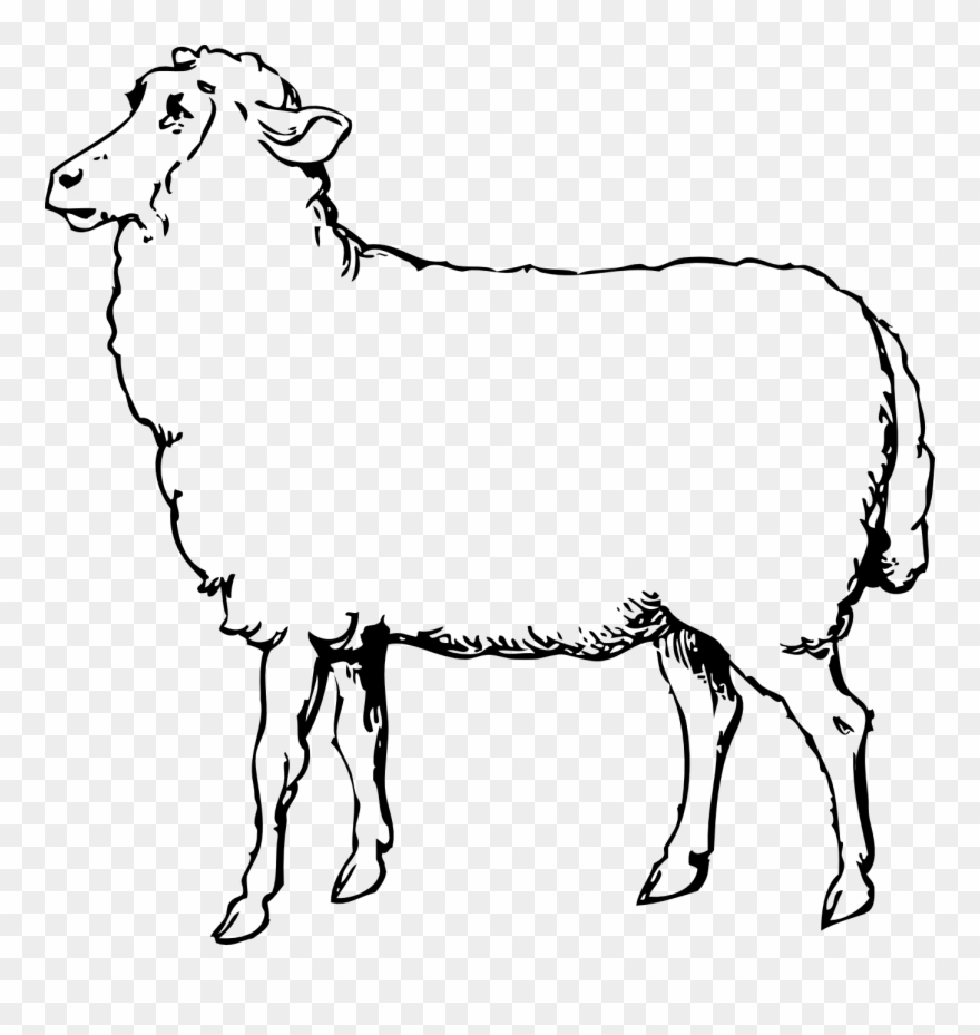 Lamb Clipart Printable - Sheep Clipart Black And White - Png Download
