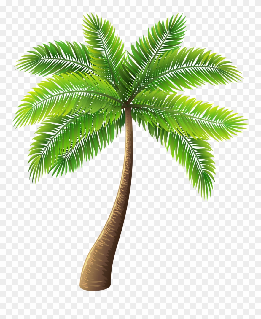 Tree Images Png Free Download Clipart