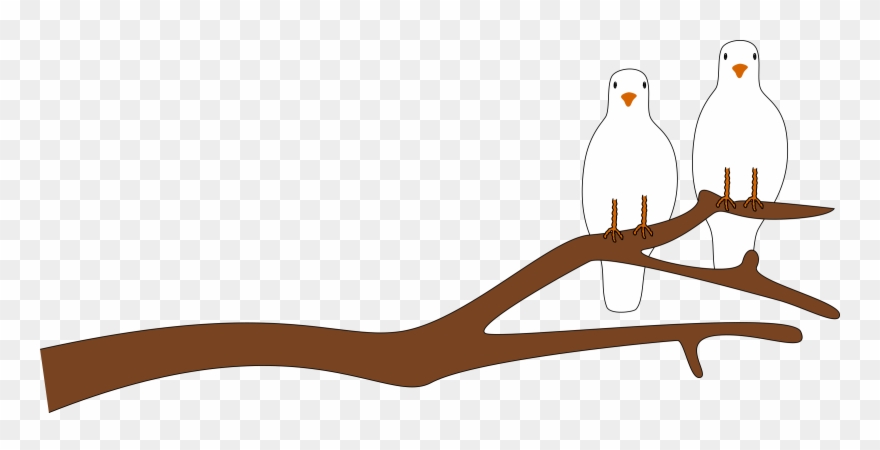 Branch Clip Art - Dove On Branch Clipart - Png Download