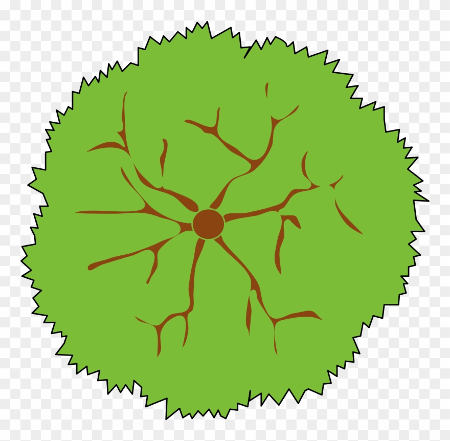 Country Star Clipart - Green Paw Print Clipart - Png Download