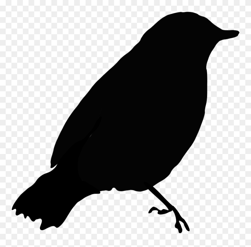Image Of Blackbird Clipart 1 Black Bird Clip Art At - Black Bird Clip Art - Png Download