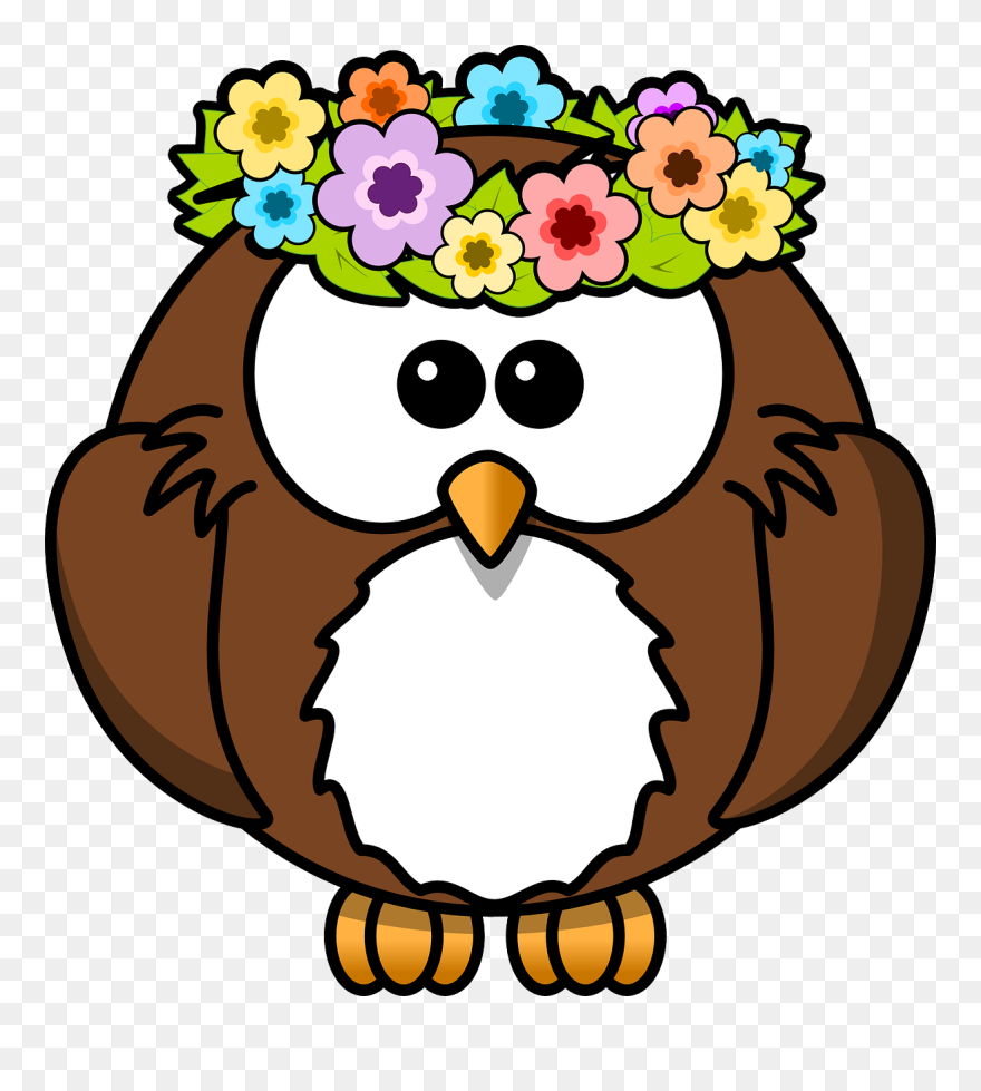 Gar Clip Art Download - Gambar Kartun Burung Hantu - Png Download