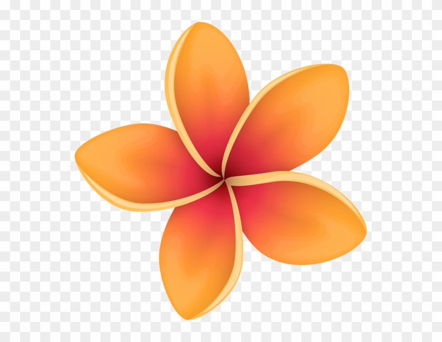 Orange Tropical Flower Clip Art Image Gallery Yopriceville - Transparent Tropical Flower Png