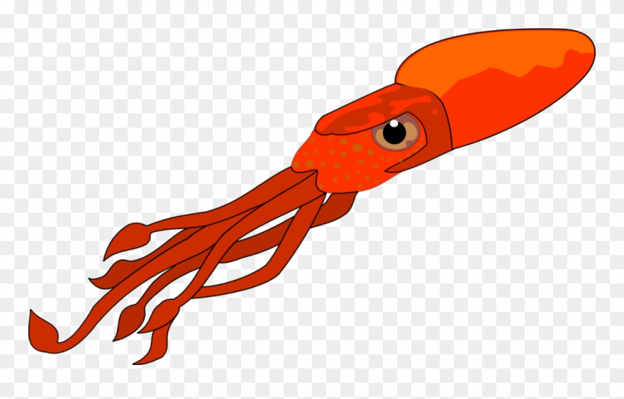 Squid Clip Art Free Clipart Images - Squid Clipart Png Transparent Png