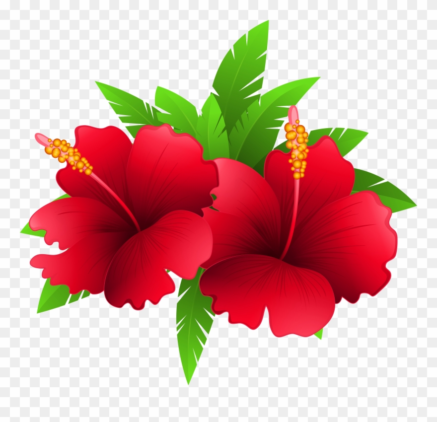 Tropical Clipart Flowering Plant - Flower Plant Png Clipart Transparent Png