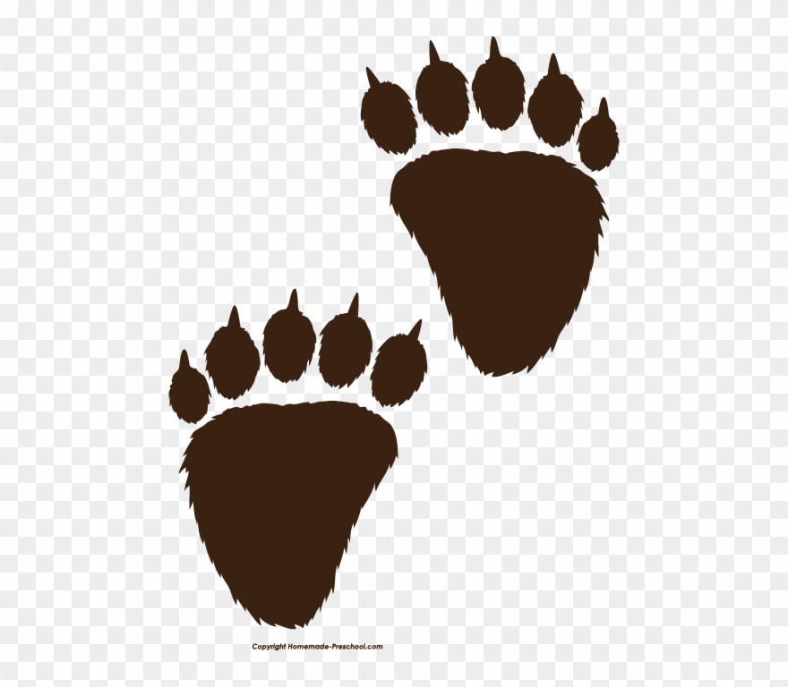 Click To Save Image - Bear Paw Prints Clipart - Png Download