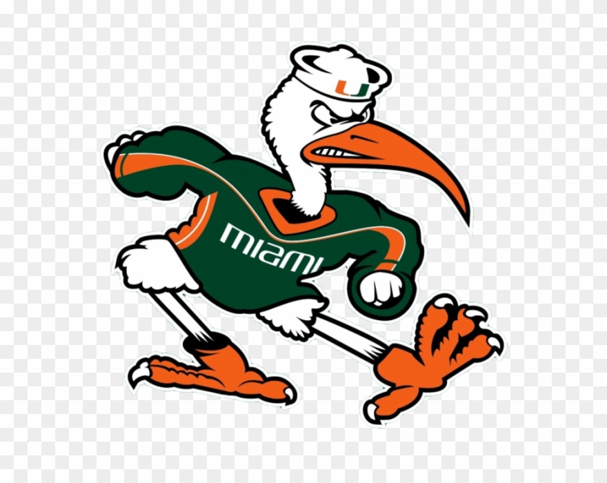 University Of Miami Mascot Clipart University Of Miami - University Of Miami Mascot - Png Download