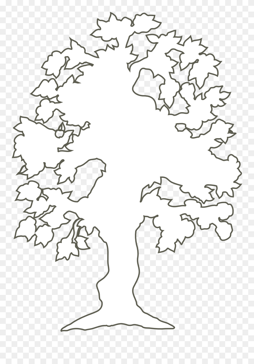 Tree Outline Clipart Has - White Tree Silhouette Png Transparent Png