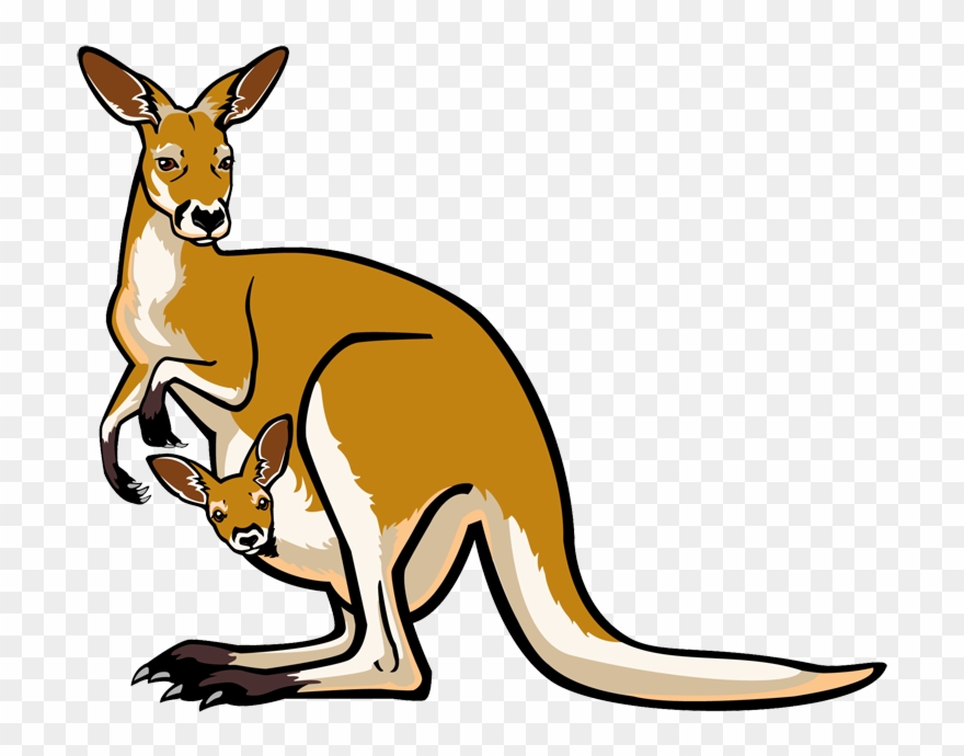 Kangaroo Jumping Cliparts - Kangaroo Clipart - Png Download