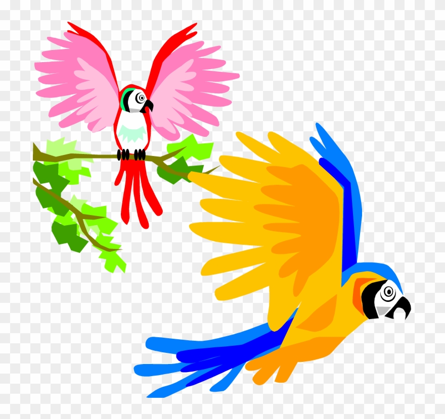 Parrot Clipart Tropical - Colorful Birds Flying Clipart - Png Download