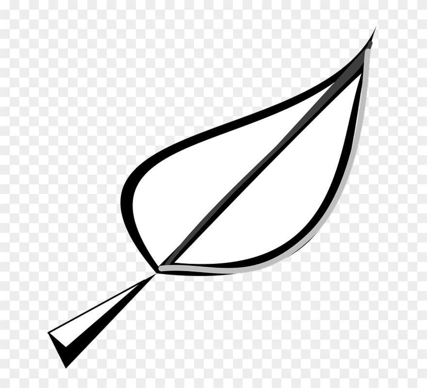 Leaf Outline Clip Art - Leaf Clipart Black And White - Png Download