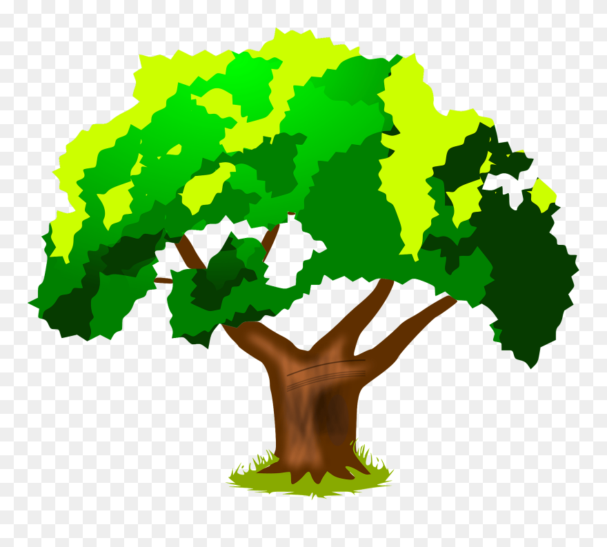 Tree - Harwood Park Primary School Clipart
