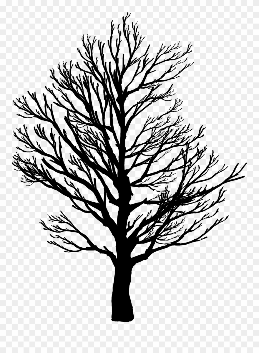 Barren Tree Silhouette - Tree Silhouette Art Clipart